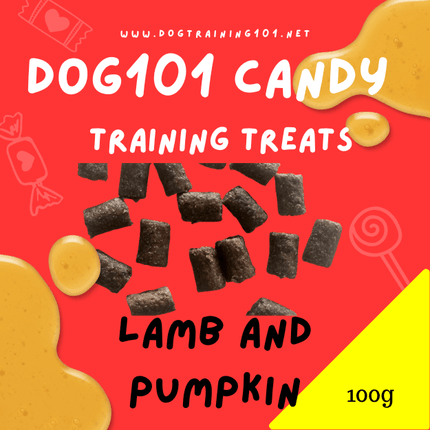 Dogtraining101 Lamb and Pumpkin Training Treats 100g