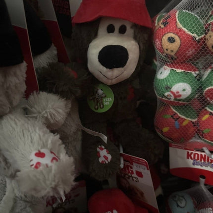 Kong Large Kong day 2025 Teddy knots