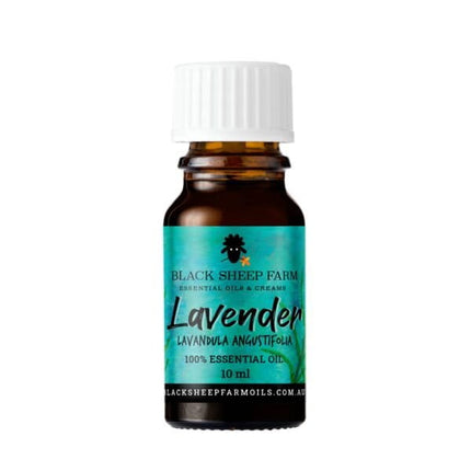 Dogtraining101 Retail Super Store Lavender essential oil 10ml