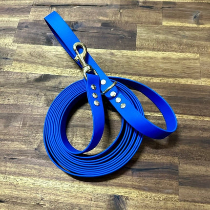 Dogtraining101 Lead 5m Blue Biothane Beach - Brass Fittings
