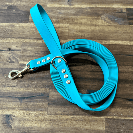 Dogtraining101 Lead 5m Green Biothane Beach - Brass Fittings