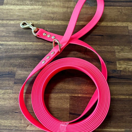 Dogtraining101 Lead 5m Hot Pink Biothane Beach - Brass Fittings