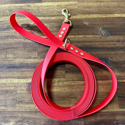 Dogtraining101 Lead 5m Red Biothane Beach - Brass Fittings