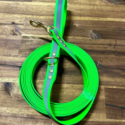 Dogtraining101 Lead 5m Reflective Green Biothane Beach - Brass Fittings