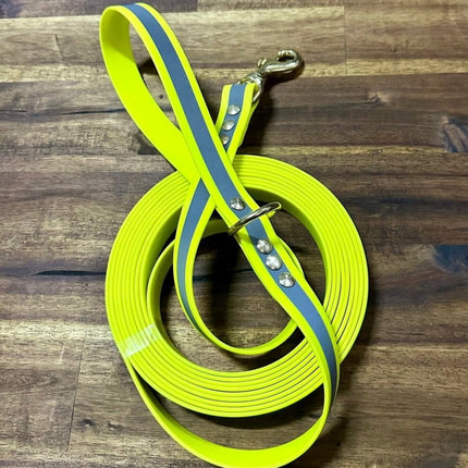 Dogtraining101 Lead 5m Reflective Yellow Biothane Beach - Brass Fittings
