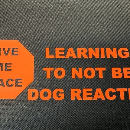 Dogtraining101 Learning to not be Dog Reactive - Vest