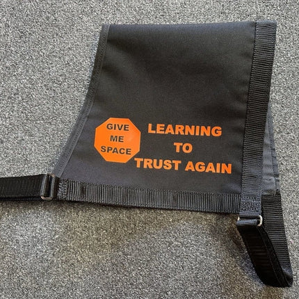 Dogtraining101 Large Learning to Trust Again - Vest