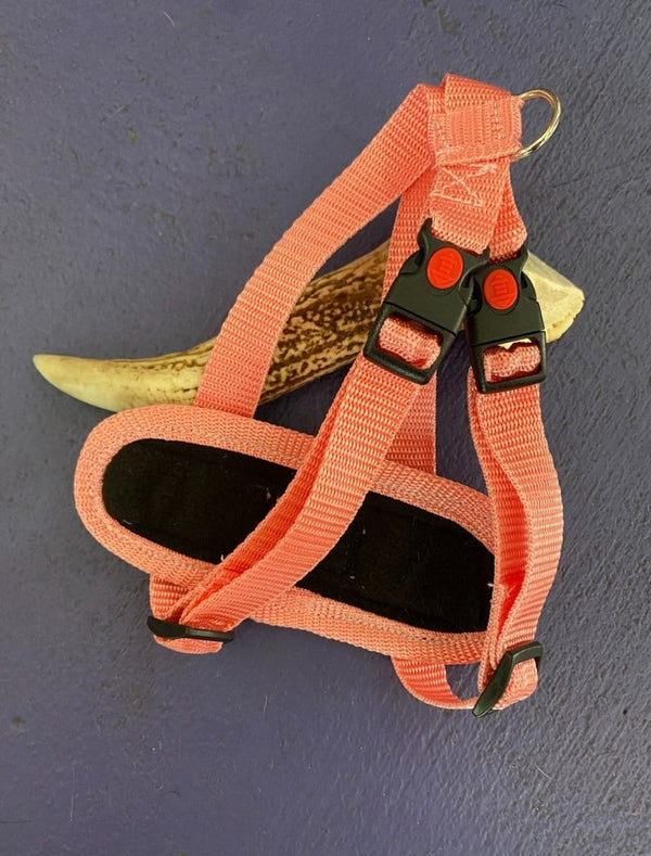 Dogtraining101 Light Pink Harness (Small)