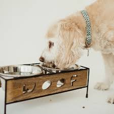 LPA Loving Pets Wooden Woof Dog Diner 0.5L