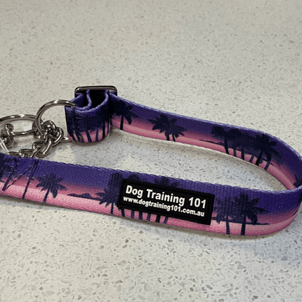 Dogtraining101 Large Martingale Purple Sunset Design