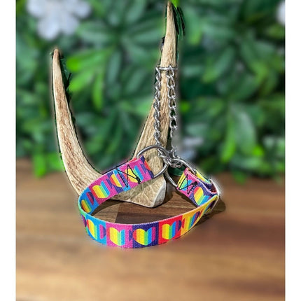 Dogtraining101 Medium Martingale Rainbow Heart Design