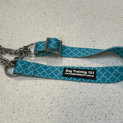 Dogtraining101 Medium Martingale Teal Foil