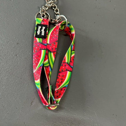 Dogtraining101 Martingale Watermelon Design