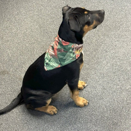 Dogtraining101 Native Aussie Plants Bandana