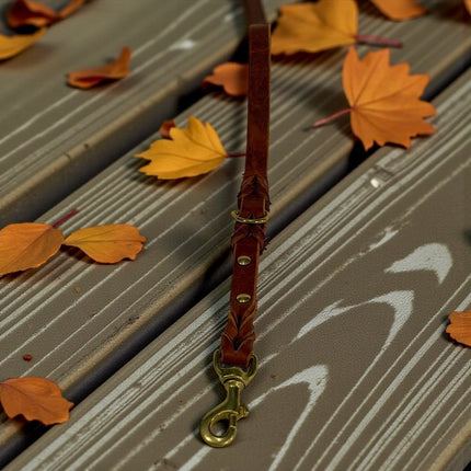 Dogtraining101 Leather 0.43 Metres / Brandy Tan Natural Leather Lead - Double Braid