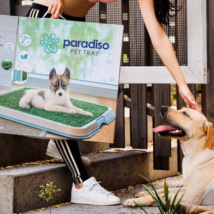 Paradiso PARADISO Pet Tray 65cm*55cm*4cm, with Astro Turf, in Door Training