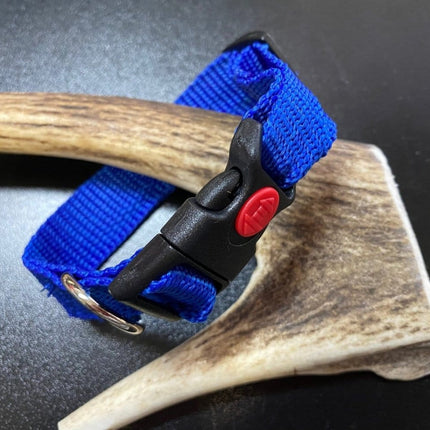 Dogtraining101 Plain Blue collar (Small/Puppy)