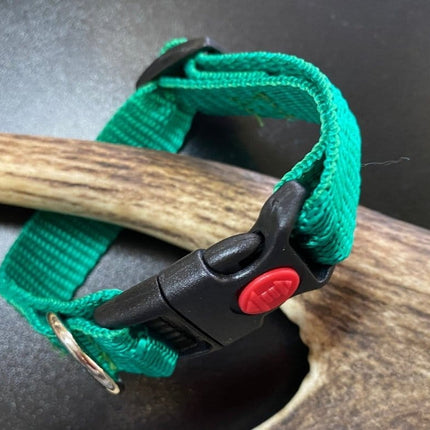 Dogtraining101 Plain Green Collar (Small/Puppy)