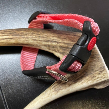 Dogtraining101 Plain Pink collar (Small/Puppy)