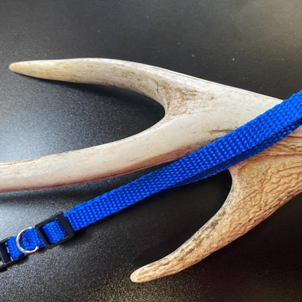 Dogtraining101 Plain Puppy Collar Dark Blue