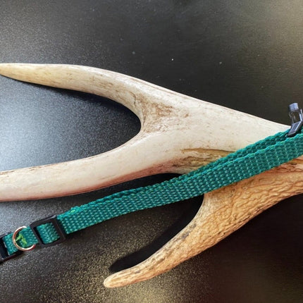 Dogtraining101 Plain Puppy Collar Green