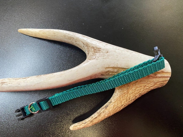 Dogtraining101 Plain Puppy Collar Green