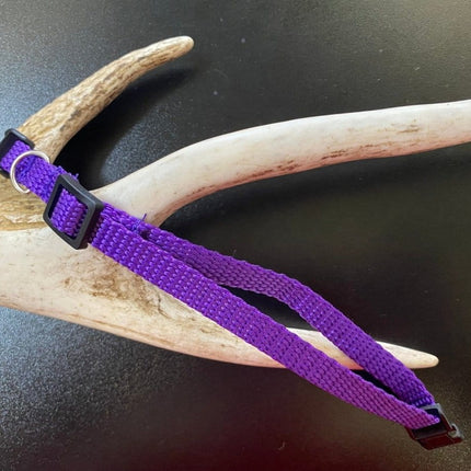 Dogtraining101 Plain Puppy Collar Purple