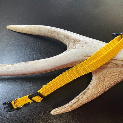 Dogtraining101 Plain Puppy Collar Yellow