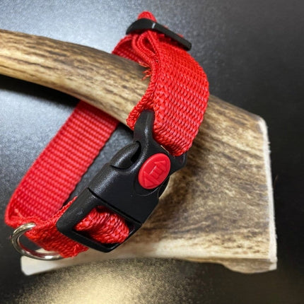 Dogtraining101 Plain Red collar (Small/Puppy)
