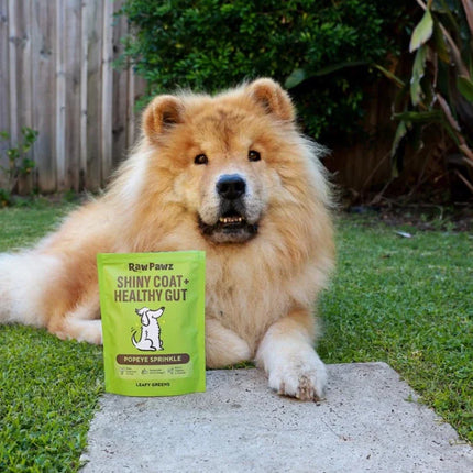 Raw Pawz Popeye Greens Sprinkle - Shiny Coat