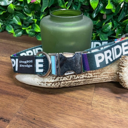 Dogtraining101 Pride Metal Clip Collar