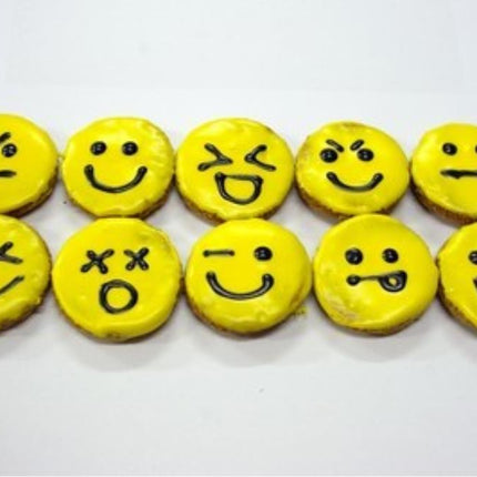 Dogtraining101 Retail Super Store Puppy Emojis Biscuit