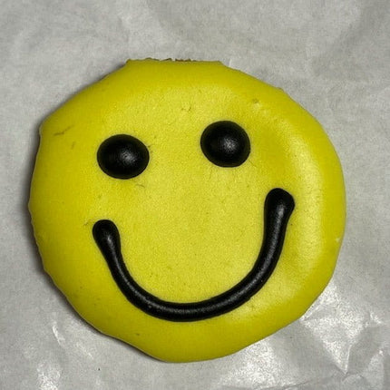 Dogtraining101 Retail Super Store Smiley Puppy Emojis Biscuit