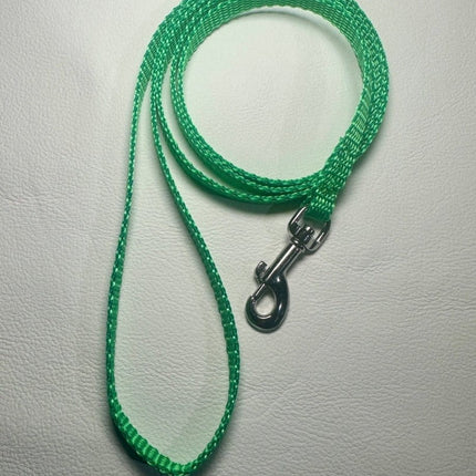 Dogtraining101 Puppy/Small Dog Light Green 1.2m x 10mm Lead