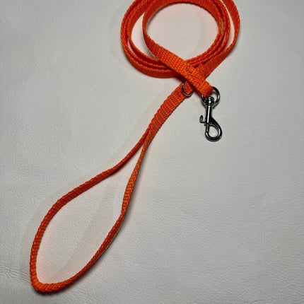 Dogtraining101 Puppy/Small Dog Orange 1.2m x 10mm Lead
