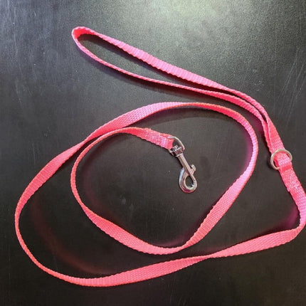 Dogtraining101 Puppy/Small Dog Plain Fluro Pink 1.2m x 10mm wide Lead
