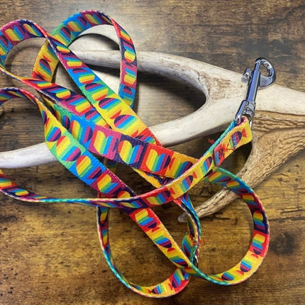 Dogtraining101 Puppy/Small Dog Rainbow Heart 1.2m x 16mm Lead