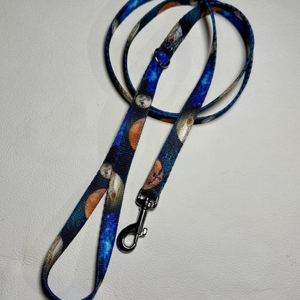 Dogtraining101 Puppy/Small Dog Solar System 1.2m x 16mm Lead