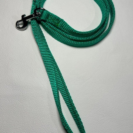 Dogtraining101 Puppy/Small Dog Thick Emerald Green 1.2m x 13mm Lead