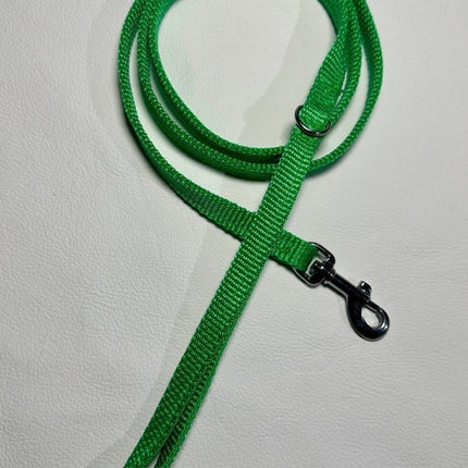 Dogtraining101 Puppy/Small Dog Thick Light Green 1.2m x 13mm Lead