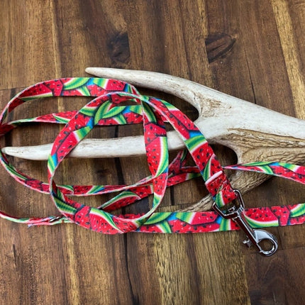 Dogtraining101 Puppy/Small Dog Watermelon 1.2m x 16mm Lead