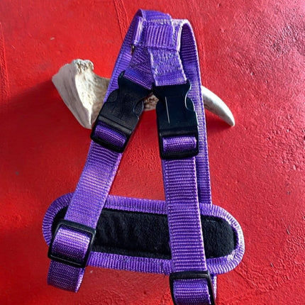 Dogtraining101 Retail Super Store Purple Plain-Black Clip-Purple Trim Harness (Medium)
