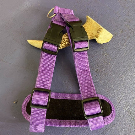 Dogtraining101 Retail Super Store Purple Plain-Black Clip-Purple Trim Harness Small)