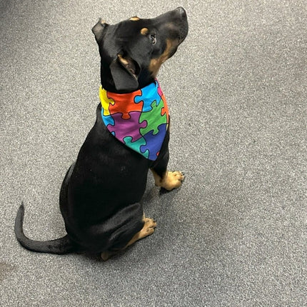 Dogtraining101 Puzzle Piece Bandana