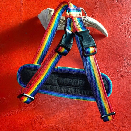 Dogtraining101 Retail Super Store Rainbow - Black Clip Harness (Large)