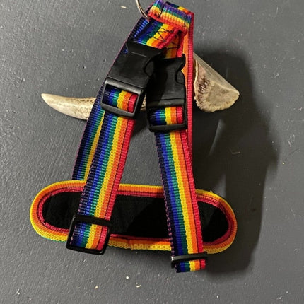 Dogtraining101 Retail Super Store Rainbow-Black Clip-Rainbow Trim Harness (Medium)