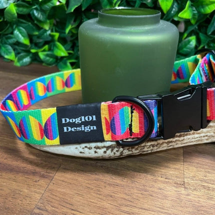 Dogtraining101 Large / Silver Rainbow Heart Metal Clip Collar