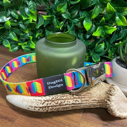 Dogtraining101 Rainbow Heart Metal Clip Collar