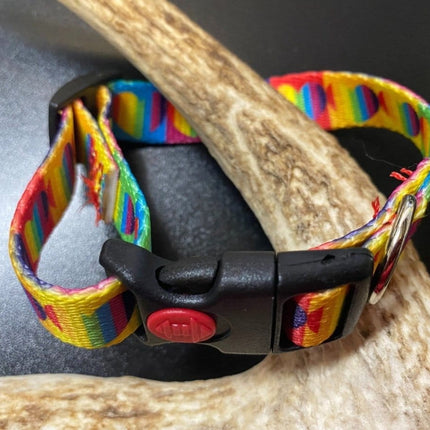 Dogtraining101 Retail Super Store Rainbow Heart Webbing Collar (Small/Puppy)