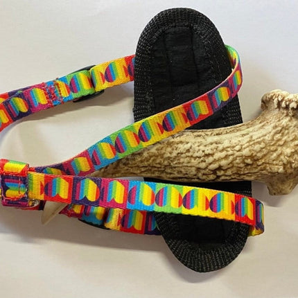 Dogtraining101 Rainbow Hearts Premium Harness (Small)